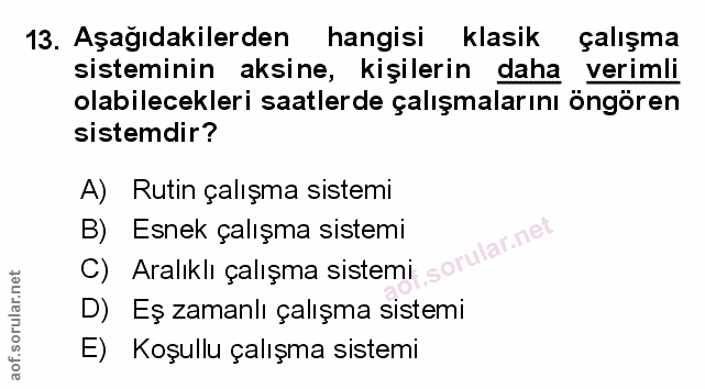 Soru 13