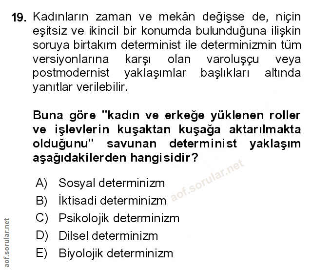 Soru 19