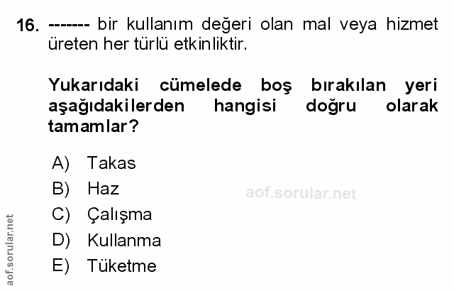Soru 16