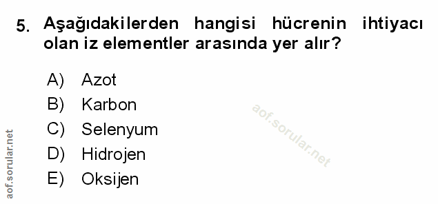 Soru 5