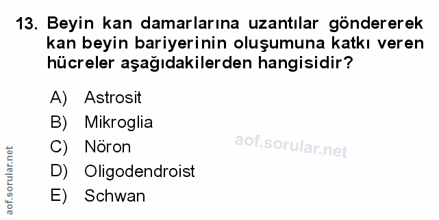 Soru 13