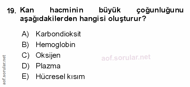 Soru 19