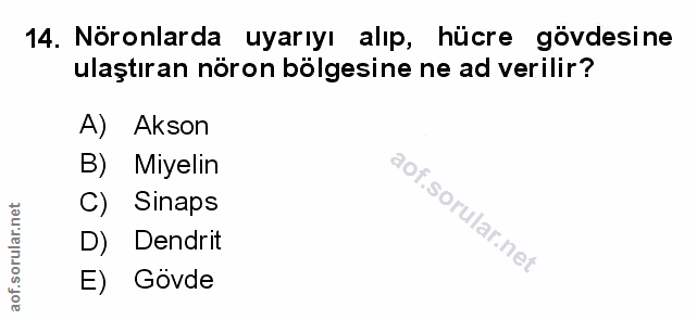 Soru 14