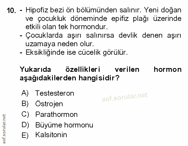 Soru 10