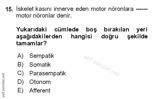 Soru 15