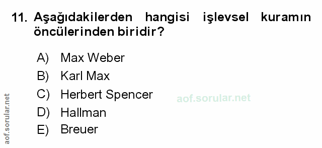 Soru 11