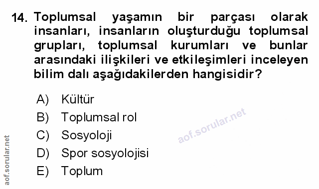 Soru 14