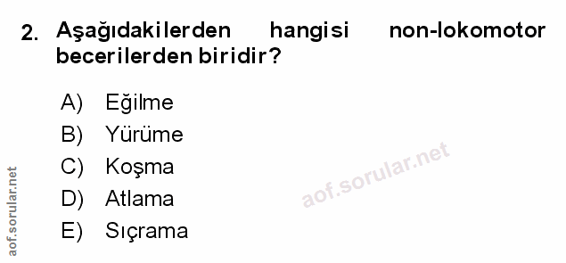 Soru 2