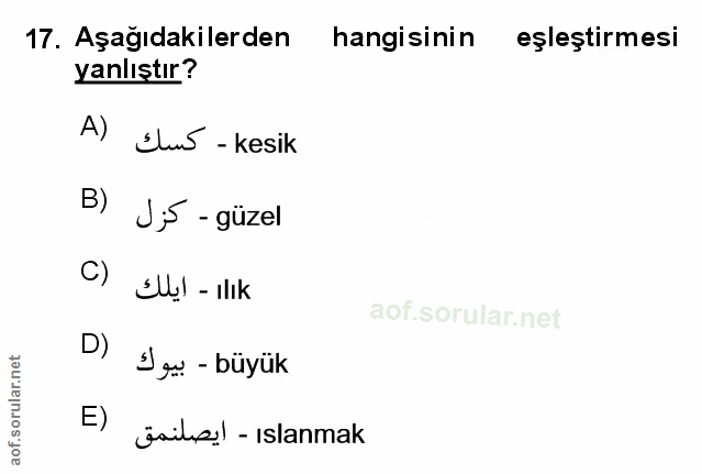 Soru 17