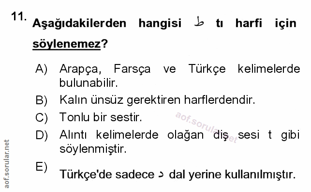 Soru 11