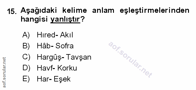 Soru 15