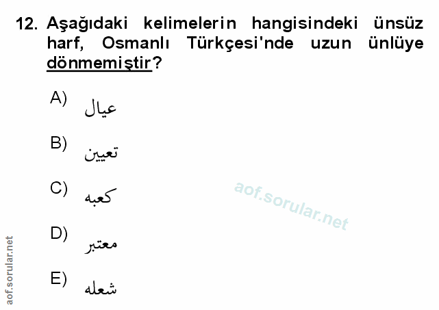 Soru 12