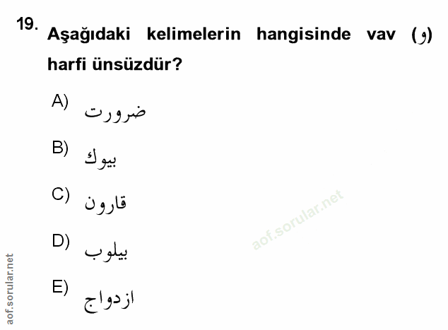Soru 19