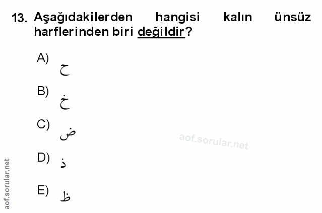 Soru 13