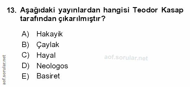 Soru 13