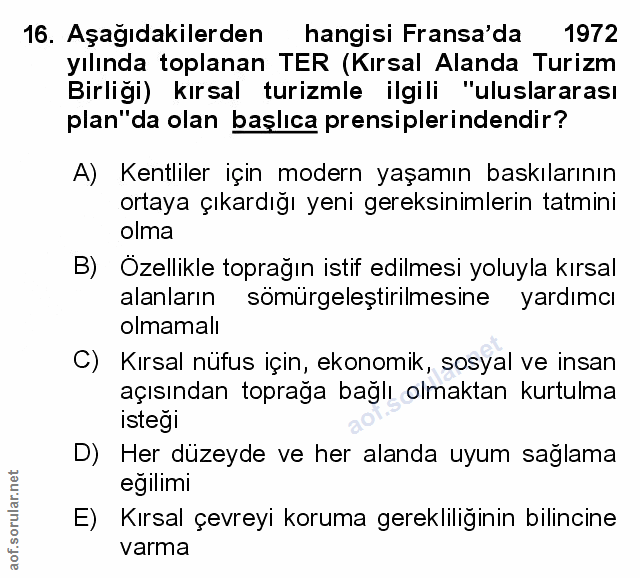 Soru 16