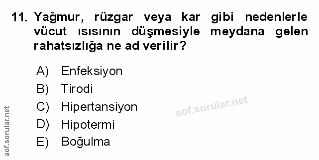Soru 11