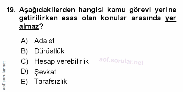 Soru 19