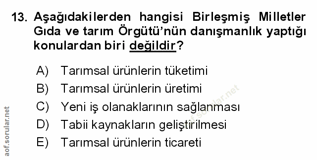 Soru 13