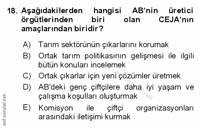 Soru 18