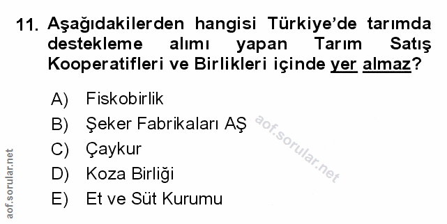 Soru 11
