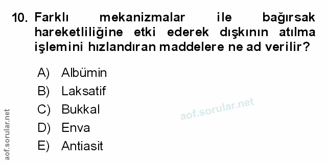 Soru 10
