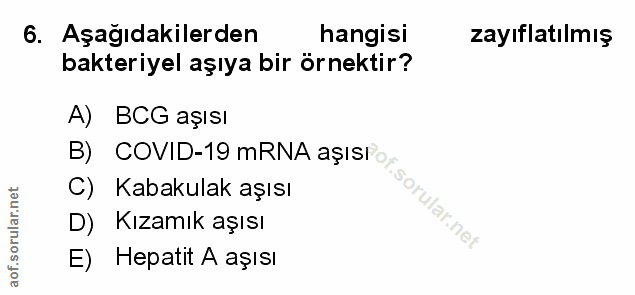 Soru 6