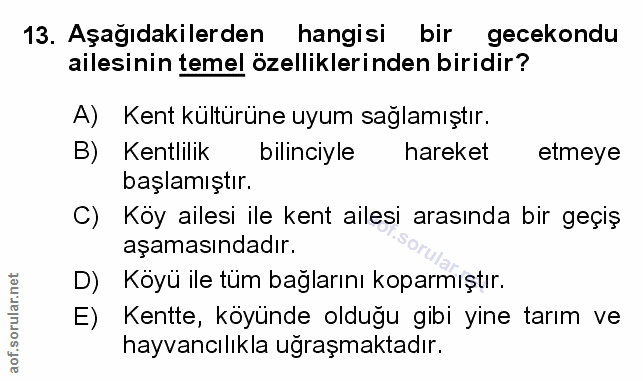 Soru 13