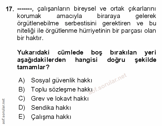 Soru 17