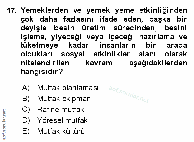 Soru 17