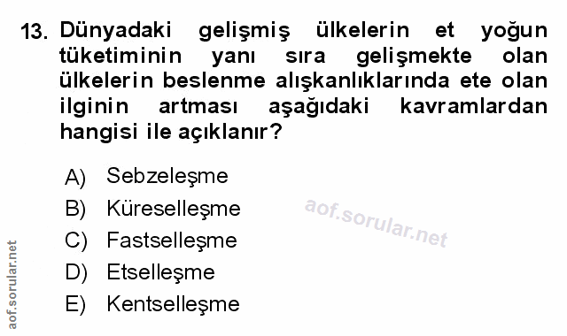 Soru 13