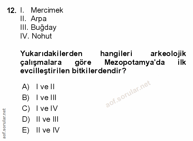 Soru 12