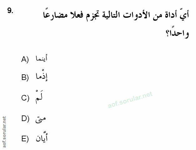 Soru 9