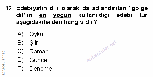 Soru 12
