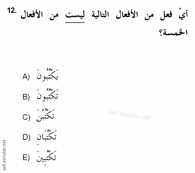 Soru 12