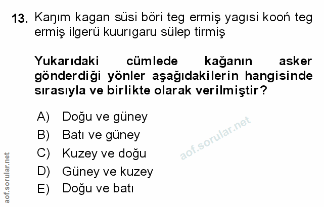 Soru 13