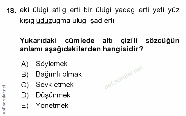 Soru 18