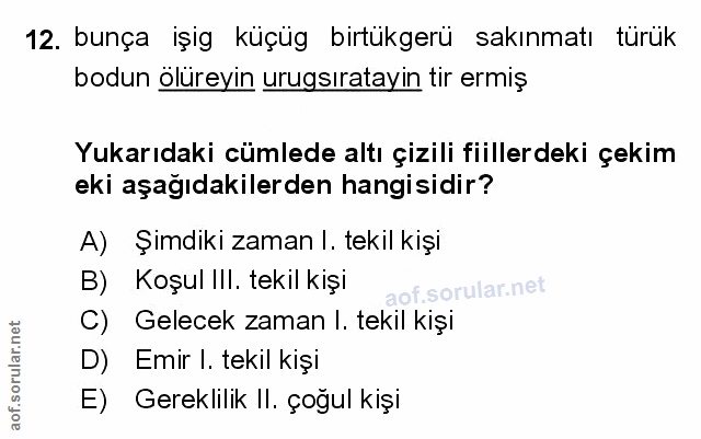 Soru 12