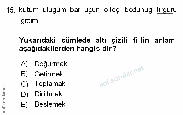 Soru 15