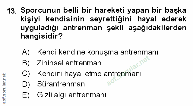 Soru 13