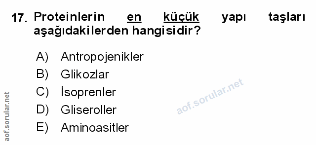 Soru 17