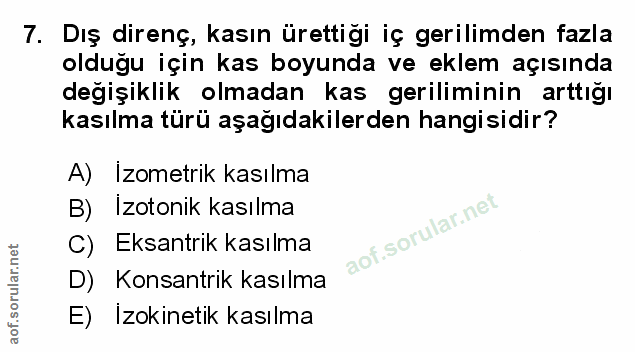 Soru 7
