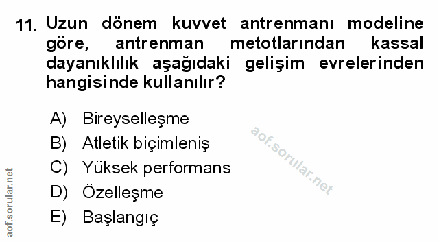 Soru 11