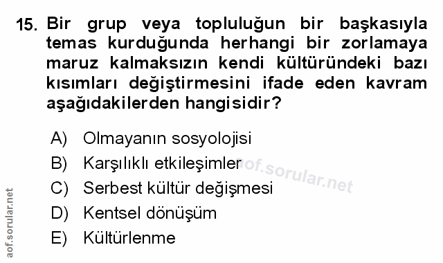 Soru 15