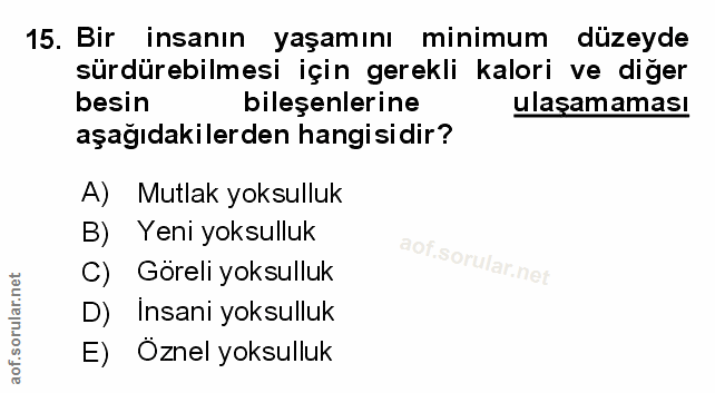 Soru 15