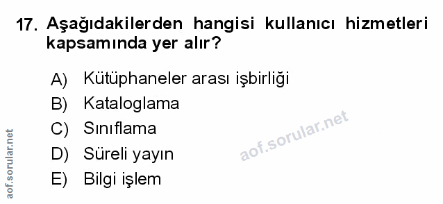 Soru 17