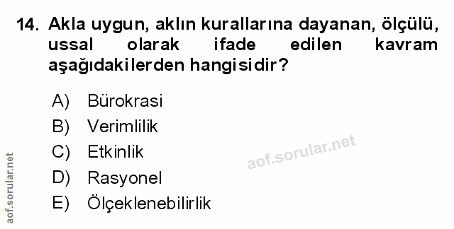 Soru 14