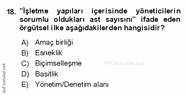 Soru 18