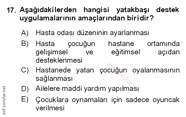 Soru 17