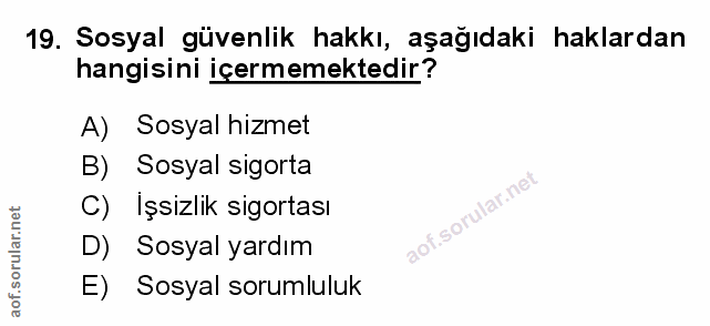 Soru 19